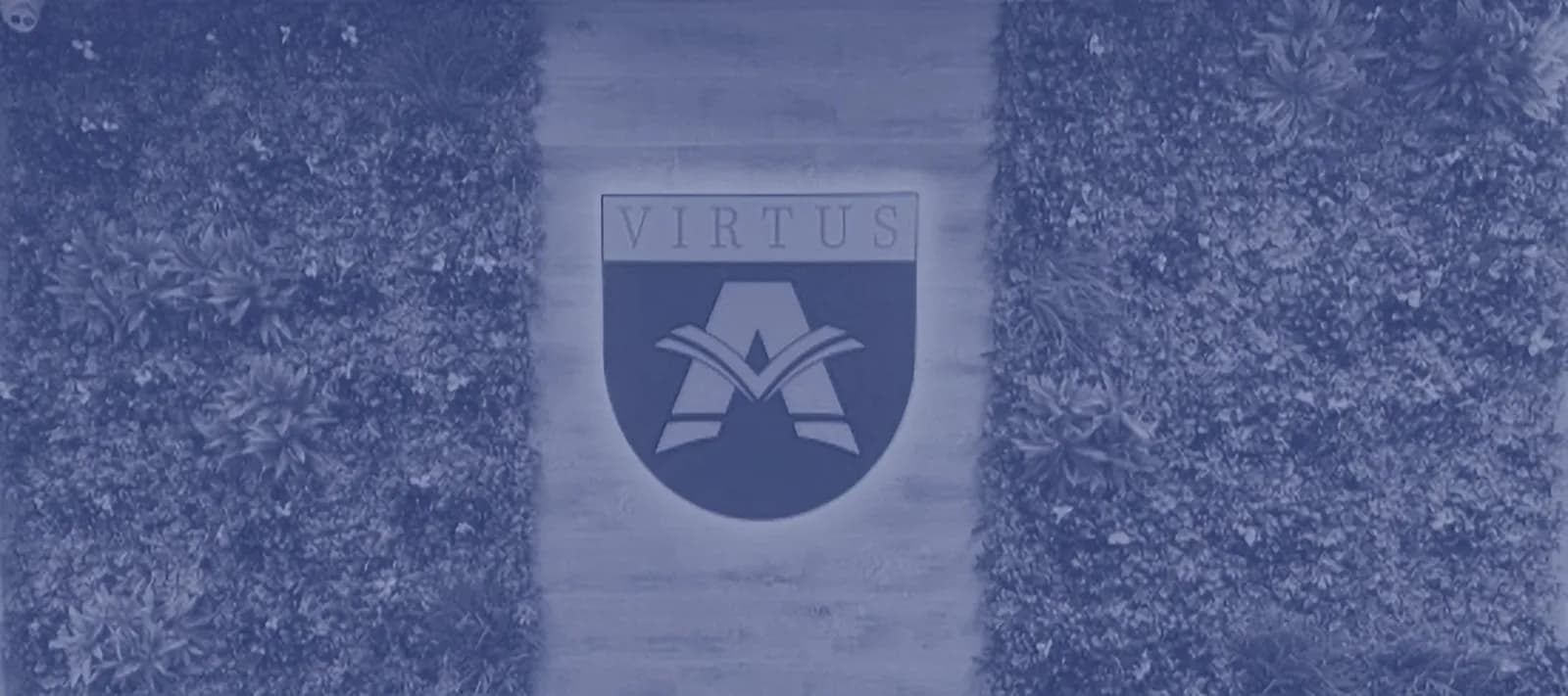 Australian Virtus Institute (AVI)
